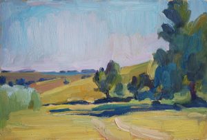 Summer Field Study