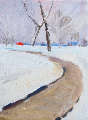 Snowy Park