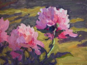 Peonies in the Garden