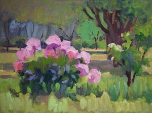 Peonies Blooming