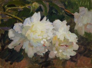 White Peonies