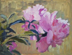 Pink Peonies
