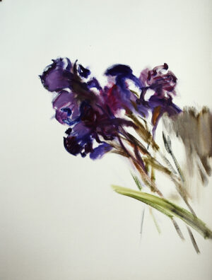 Irises original oil painting on paper